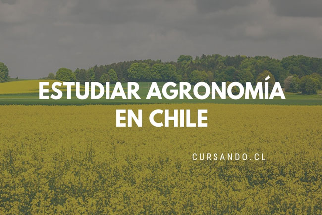 Mejores Universidades Para Estudiar Agricultura En Chile