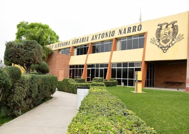 Mejores Universidades Para Estudiar Agricultura En México