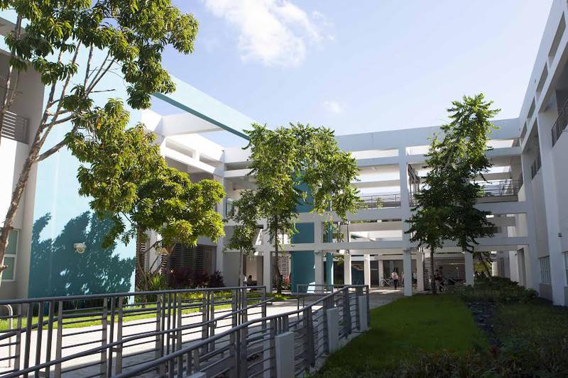 Mejores Universidades Para Estudiar Arquitectura En Puerto Rico