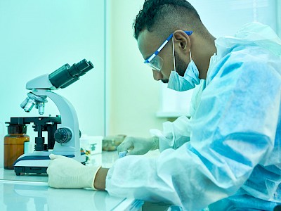 Mejores Universidades Para Estudiar Biotecnología En Honduras
