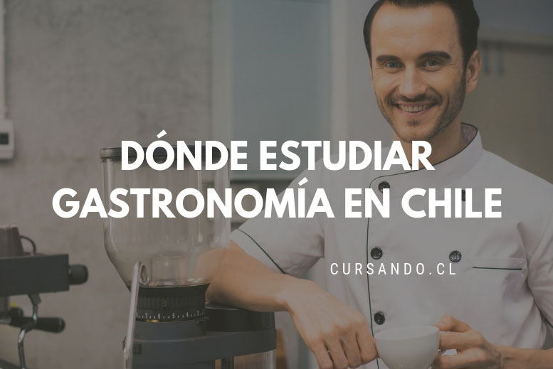 Mejores Universidades Para Estudiar Gastronomía En Chile