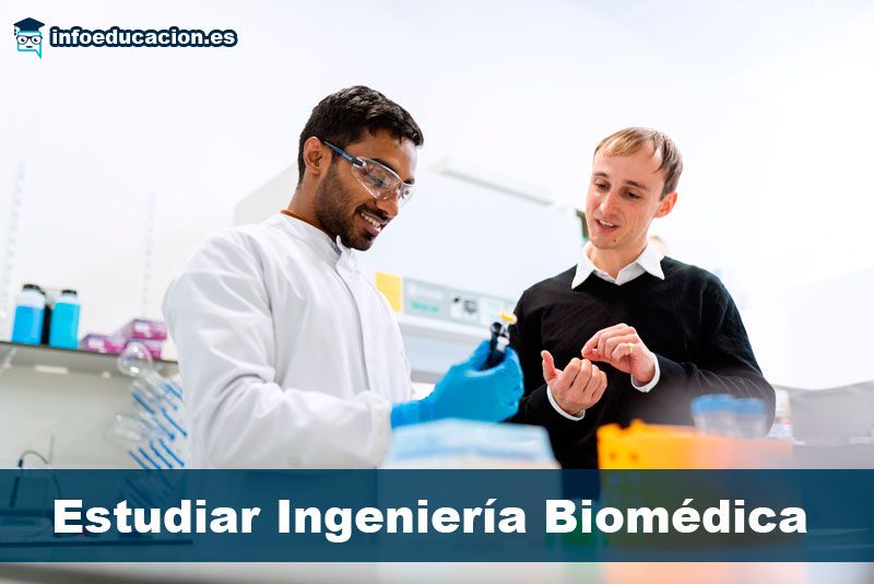 Mejores Universidades Para Estudiar Ingeniería Biomédica En España