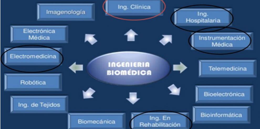 Mejores Universidades Para Estudiar Ingeniería Biomédica En Panamá