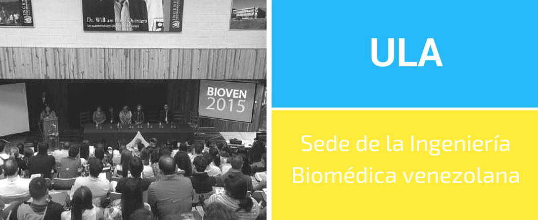 Mejores Universidades Para Estudiar Ingeniería Biomédica En Venezuela